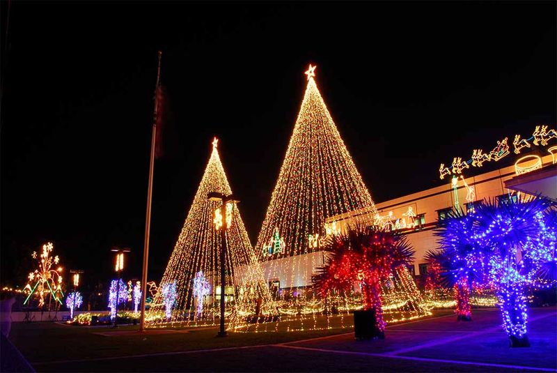 Exterior-christmas-lighting-idea