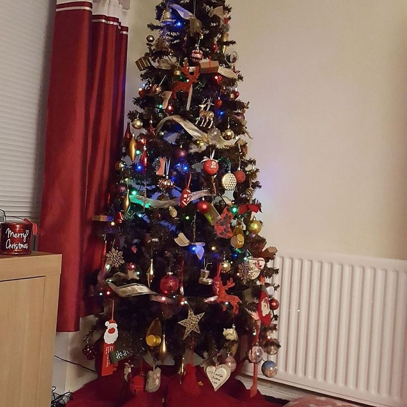 Green chrismast tree combine with colorful ornammen ideas