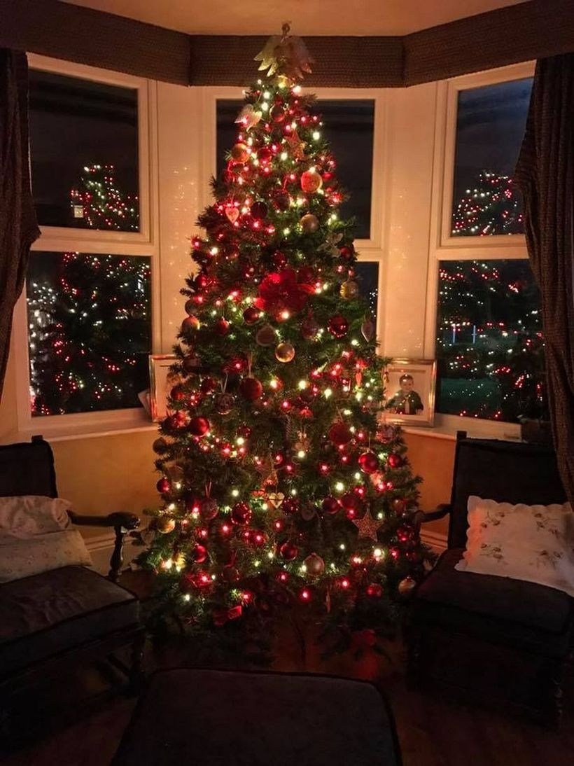 Green chrismast tree combine with red ornament and light