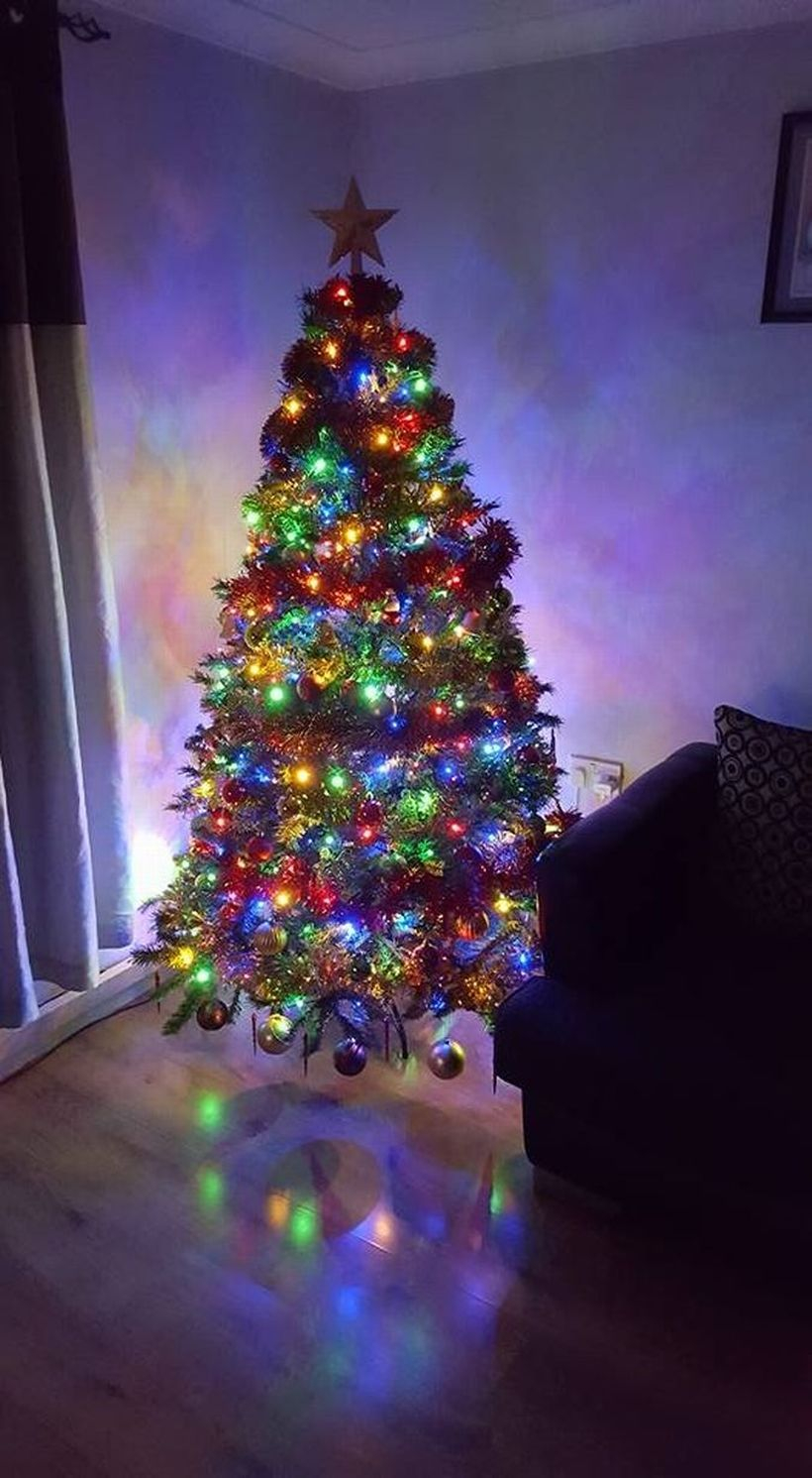 Green chrismast tree with colorful light ideas