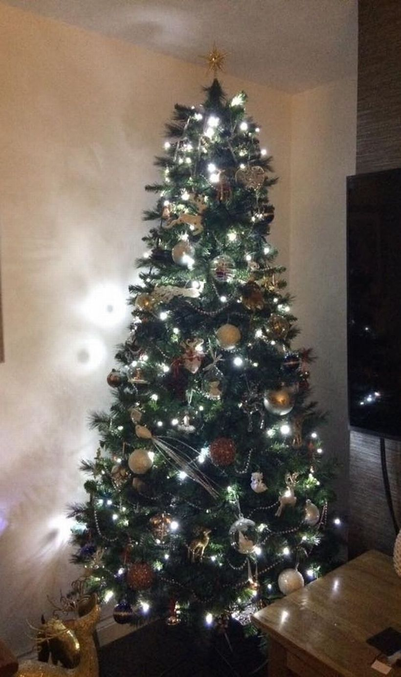 Green chrsimast tree with white light
