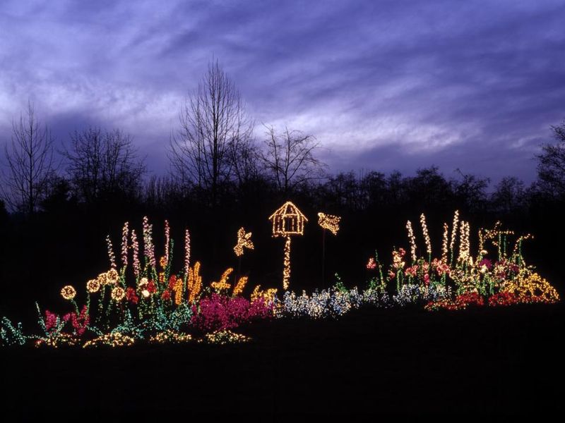 Rather-than-turn-their-garden-into-a-traditional-christmas-light-display.