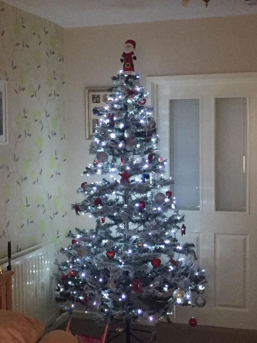 Small chrismast tree with white light
