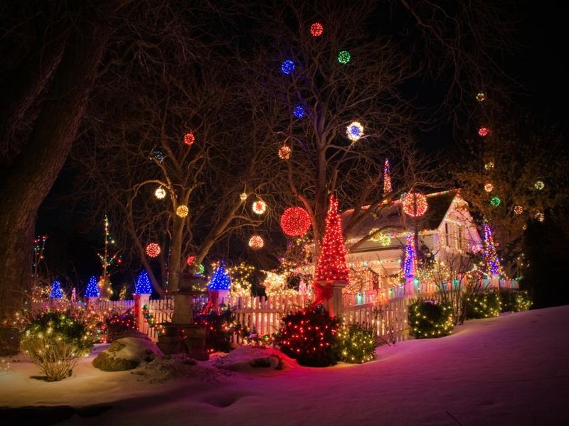 This-family-turned-their-home-and-yard-into-princess-lollys-lollipop-woods.