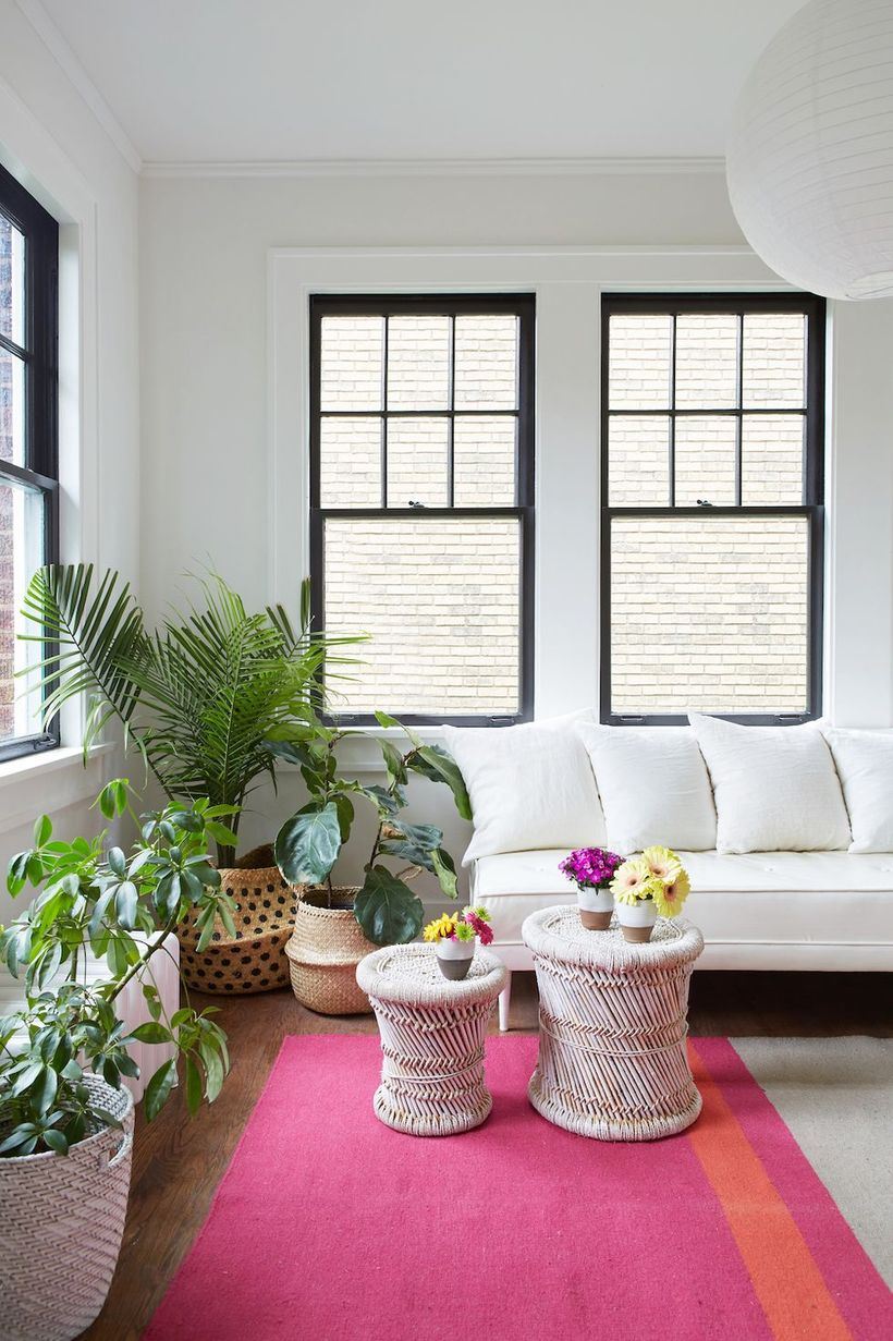 White cushion combine with white sofa nad plants