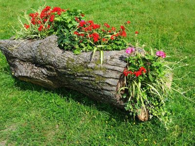 Wood-flower-bed