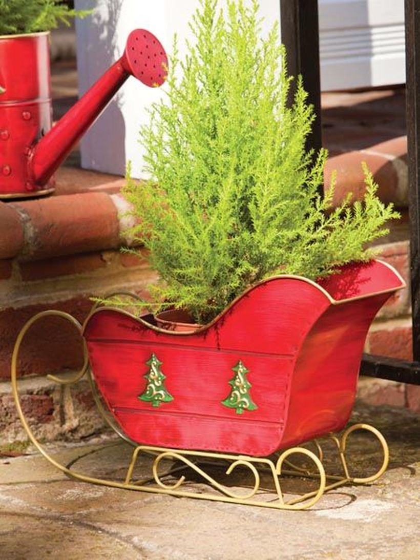 A-red-skateboard-combined-with-a-small-green-christmas-tree-to-make-it-look-fresh