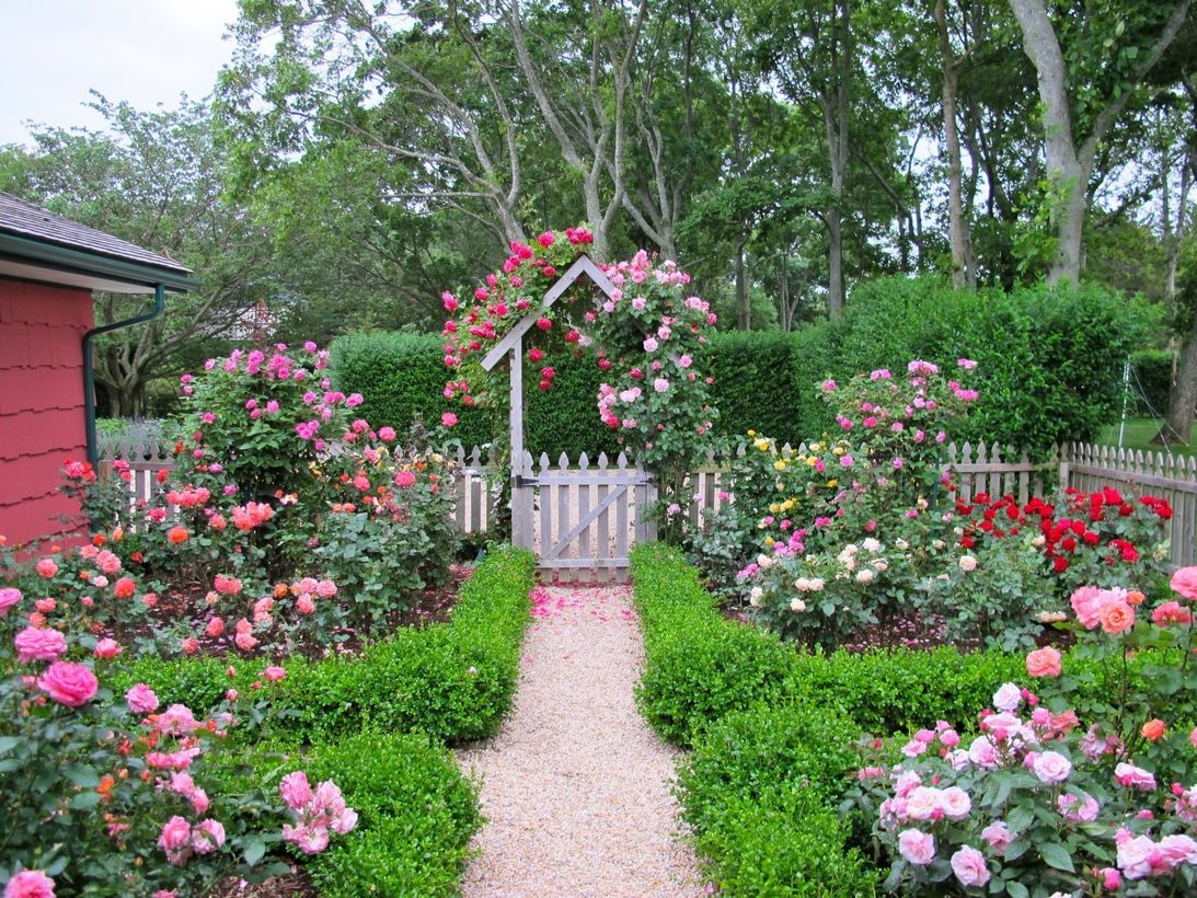 Cottage-garden-design-with-roses-wilson-rose-garden.
