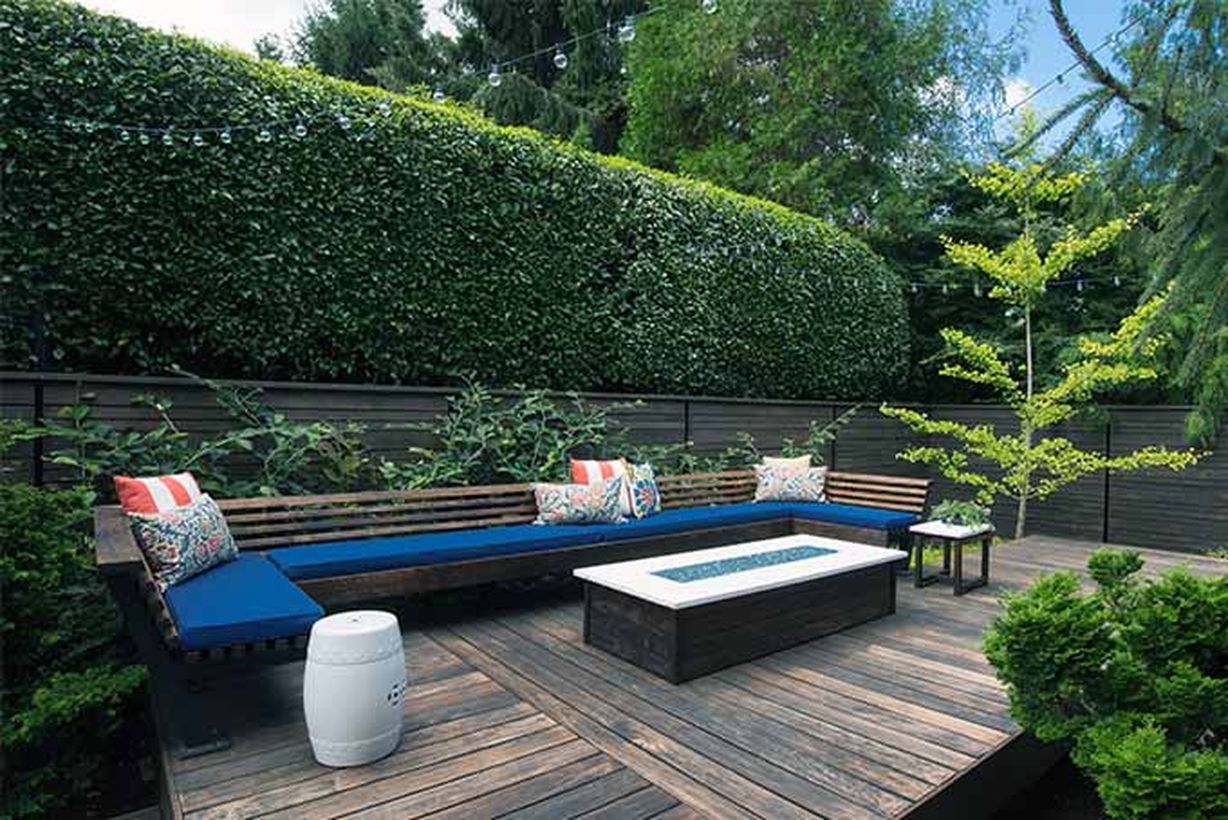 Do-you-know-the-top-5-shrubs-for-hedges