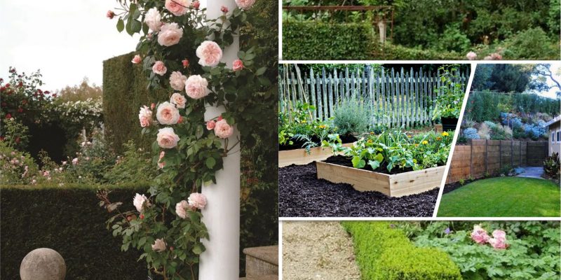 Garden landscape ideas english garden fi