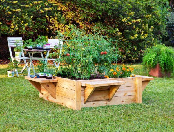Raised-bed-with-benches