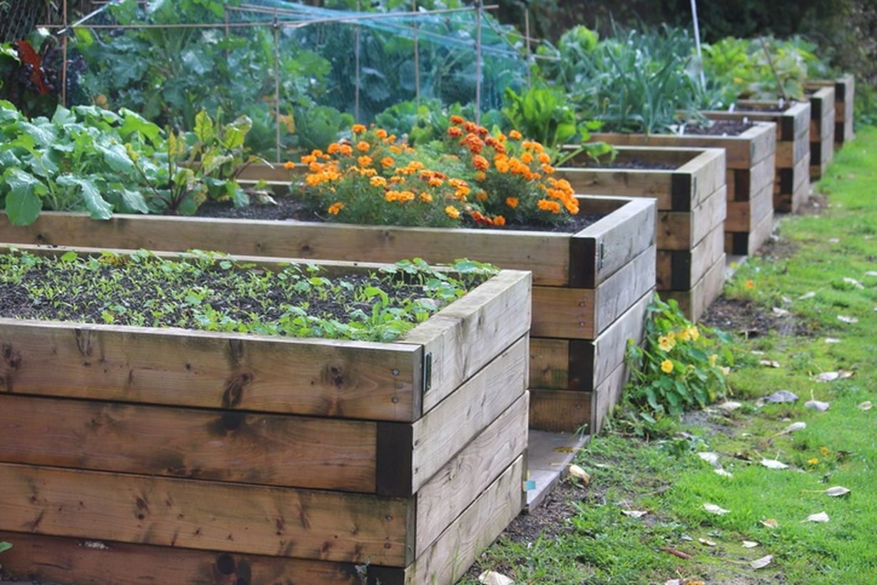 Raised-beds