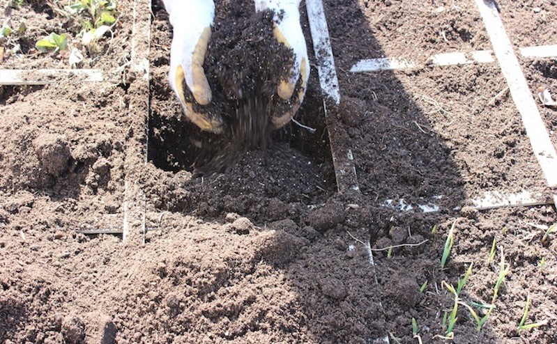 1-a-garden-soil-recipe-1