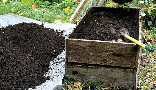 2-potting-soil_susy-morris-flickr-2