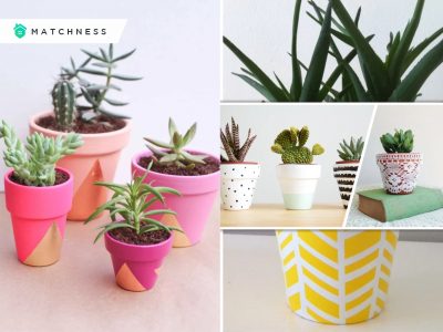 20 posh decorative plant pots to beautify your home fi