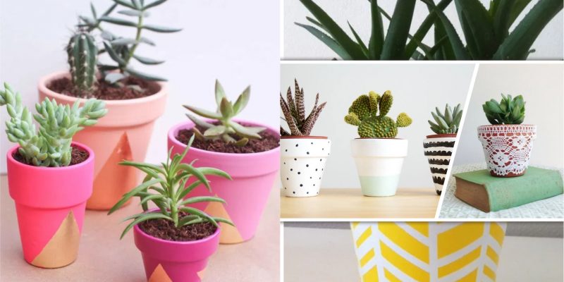 20 posh decorative plant pots to beautify your home fi