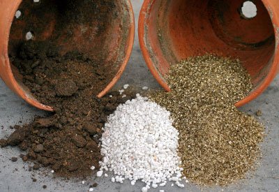 4-potting-mix1