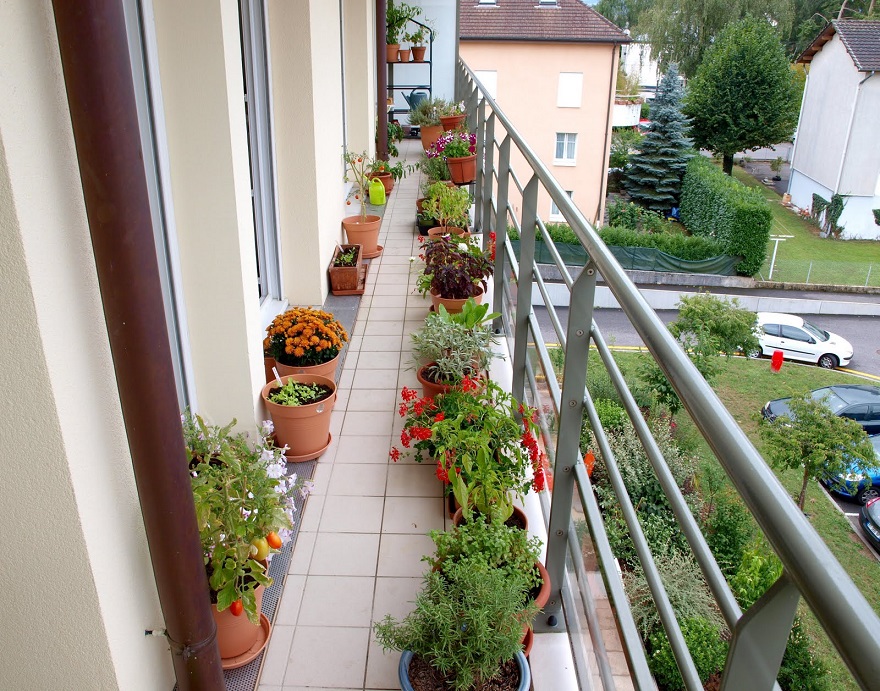 A-long-and-narrow-balcony-garden