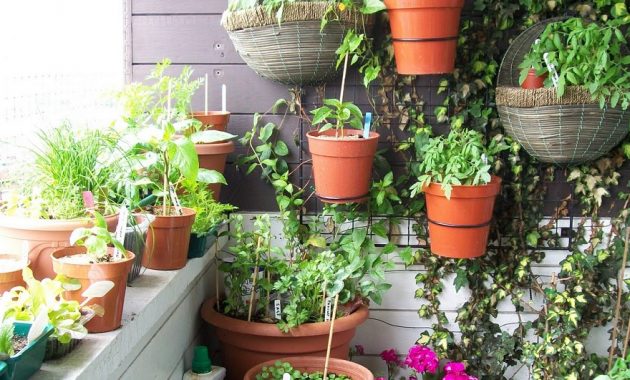 Balcony-garden-with-vertical-space
