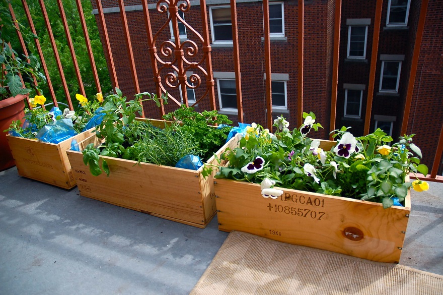 Blooming green balcony garden