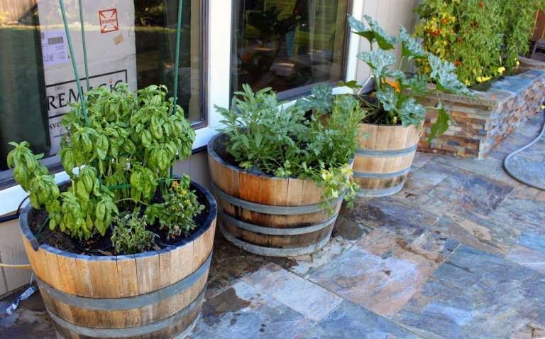 Unique wine barrel garden ideas and wine barrel container gardening edible front yard
