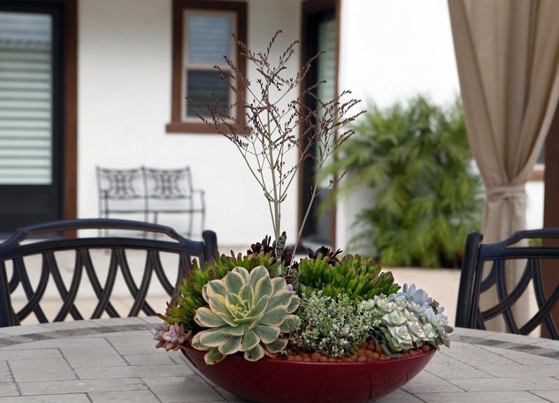 Succulent-plant-ideas-for-decorating-small-apartment-20