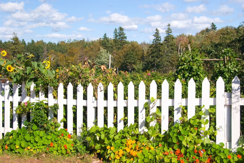 Fence-10