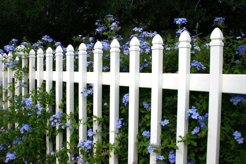 Fence-4
