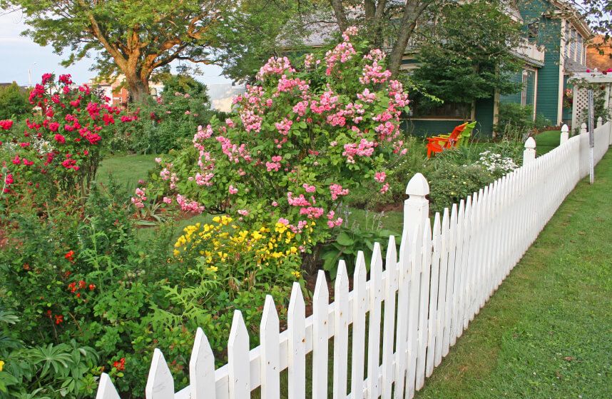 Fence-5