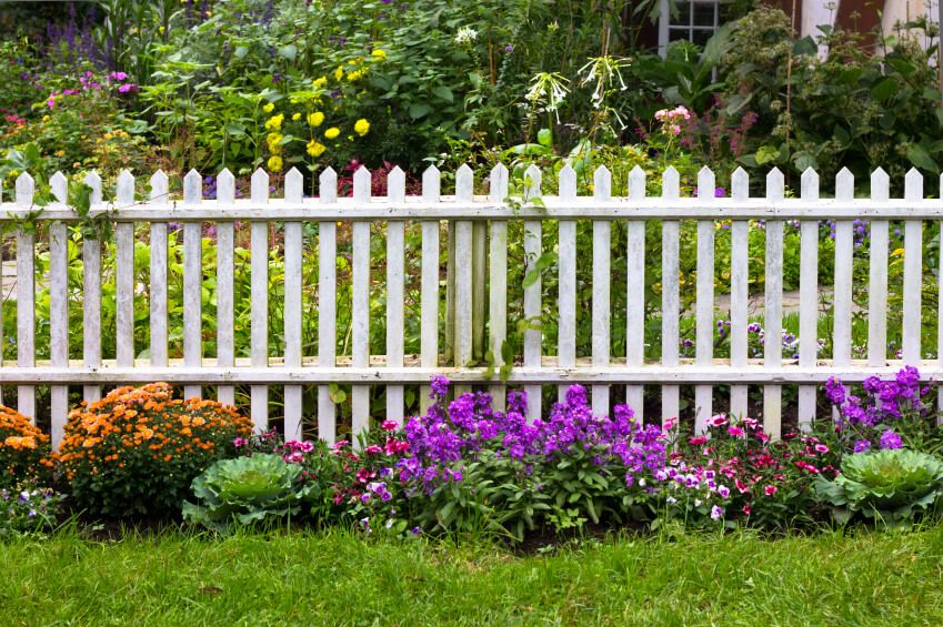 Fence-6