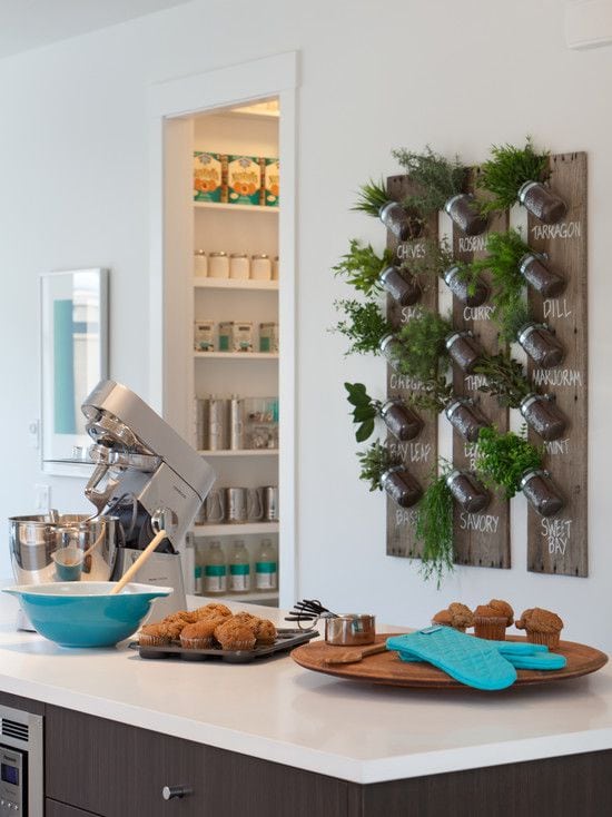 Kitchen-plant-4