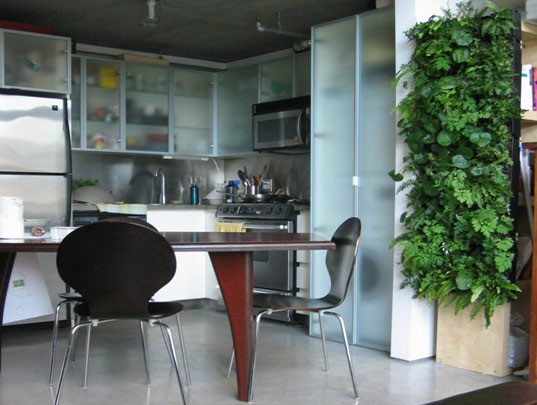 Kitchen-plant-5