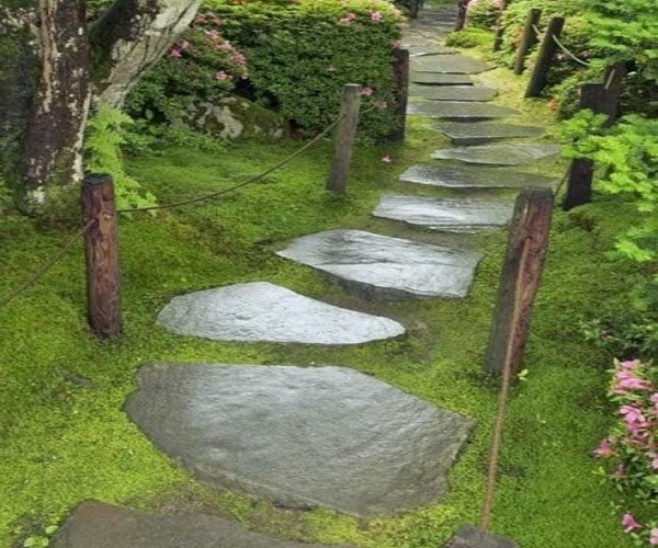 Pathway-3