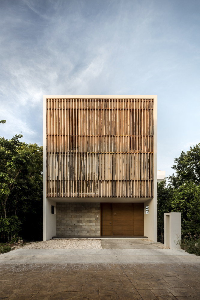 Ciruelo_-_08-1