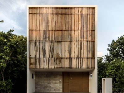 Ciruelo_-_08