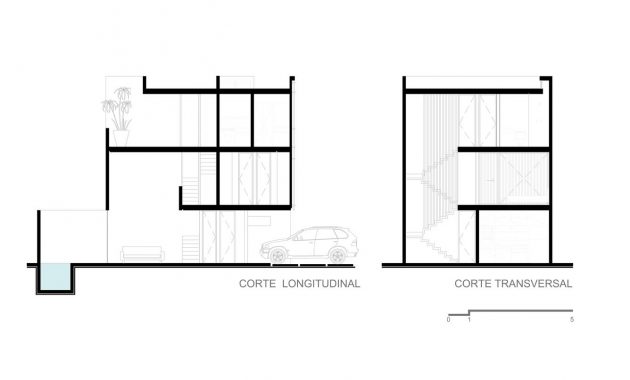Ciruelo_-_cortes