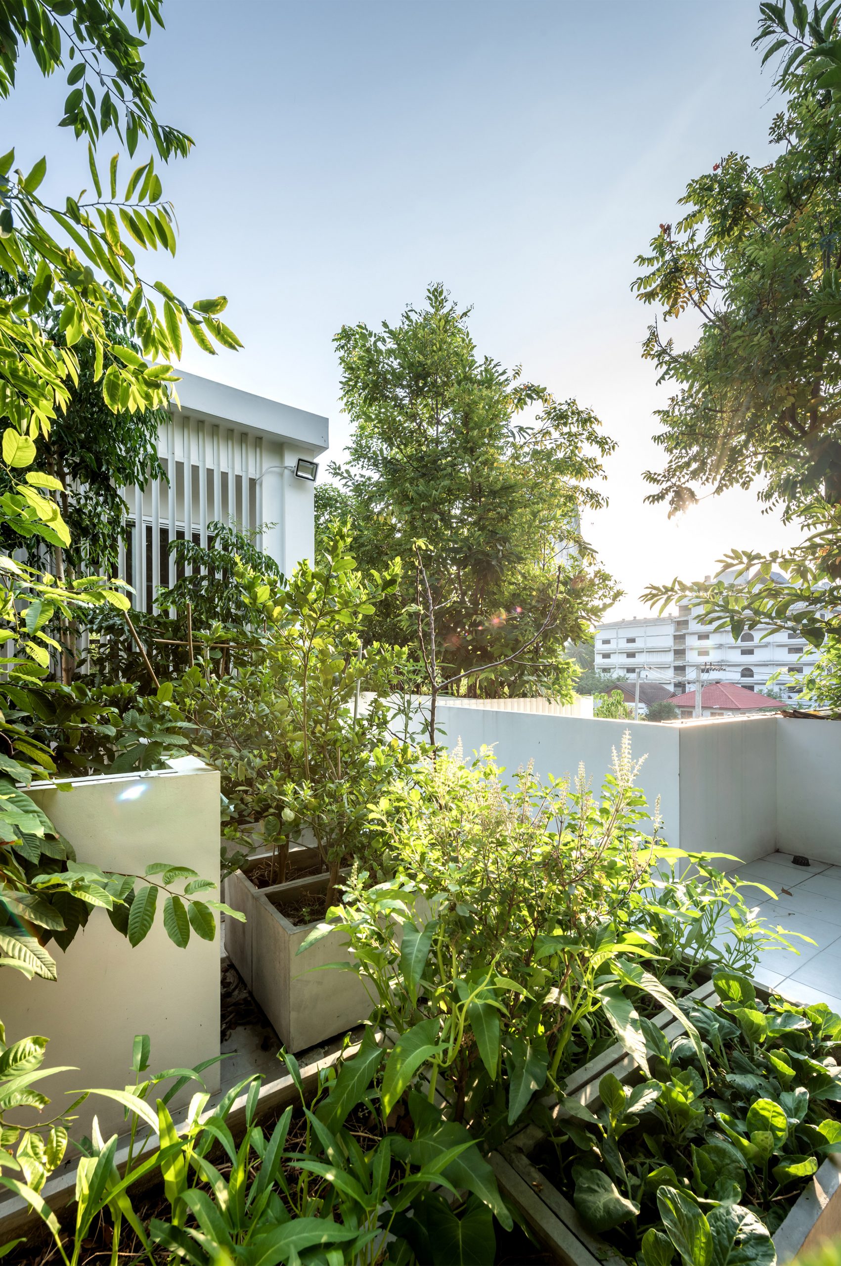 Forest-house-shma-design-awards_dezeen_2364_col_8-scaled-1