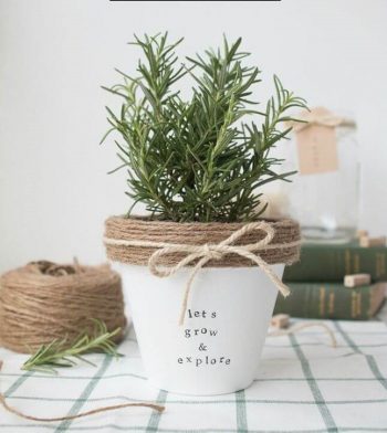 10-diy-flower-pot-ideas-homebnc