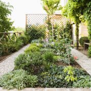 Backyard garden