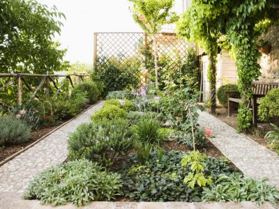 Backyard garden