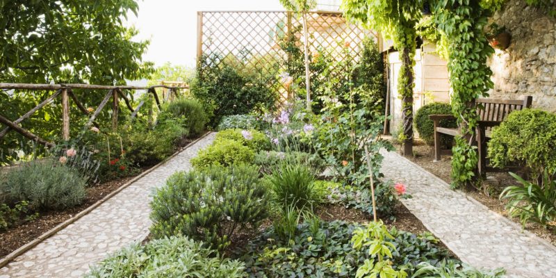 Backyard garden