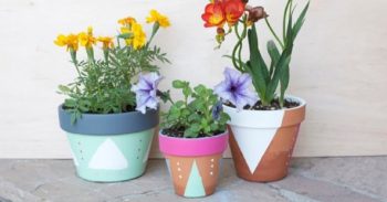26-diy-flower-pot-ideas-homebnc-300x208@2x