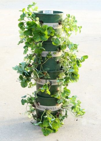 8.-diy-strawberry-tower