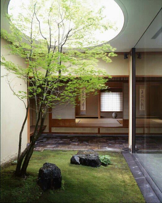Garden-9