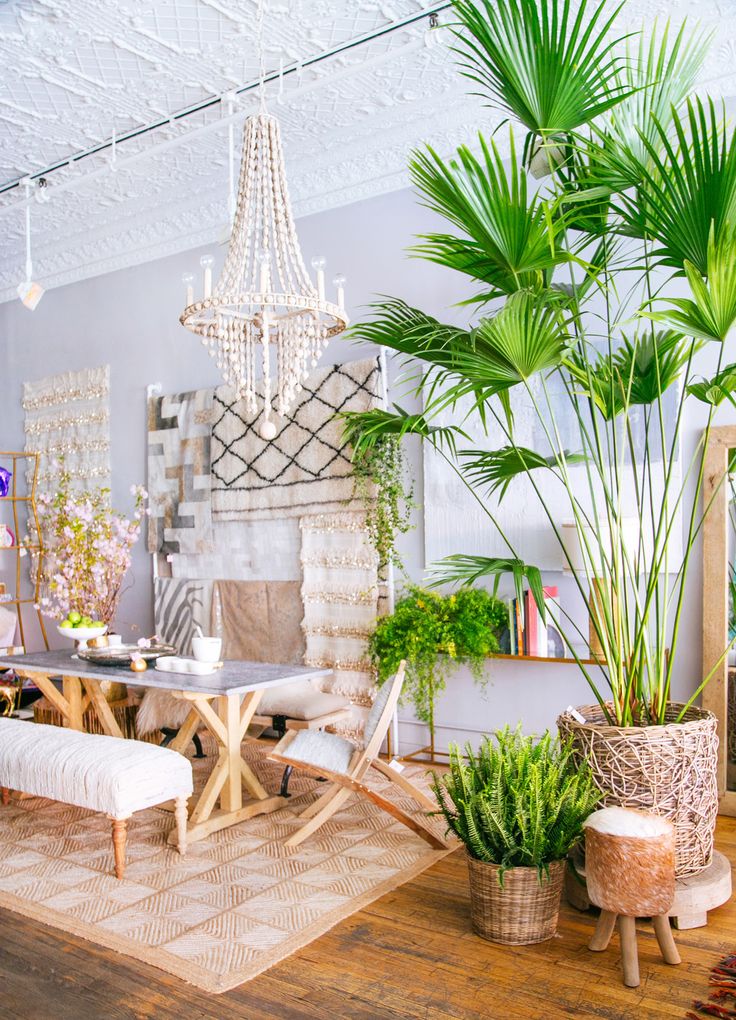 Large-palm-tree-inside-bohemian-dining-room