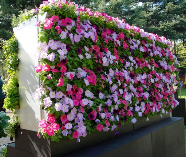 Mobiwall-mifgs-2009-158crop-605x513-1