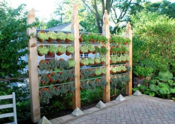 Plant_wall_for_backyard_privacy