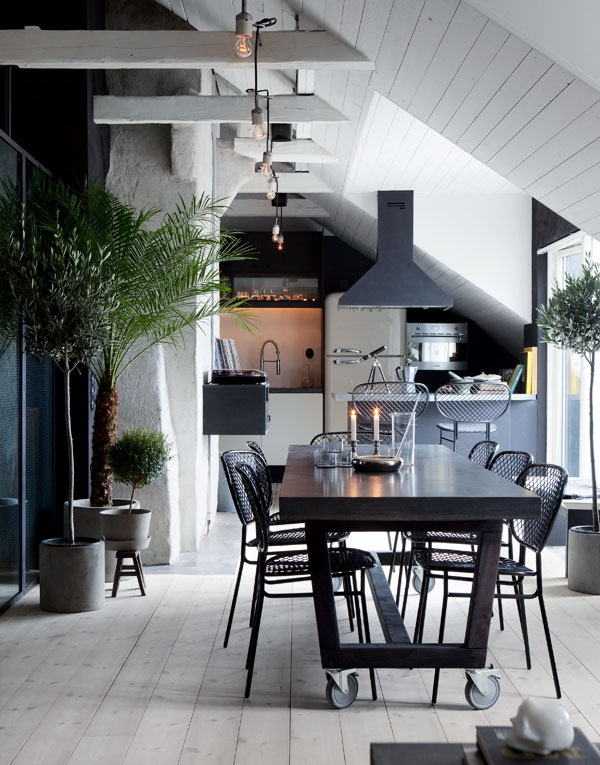 Black-kitchen-house-plants