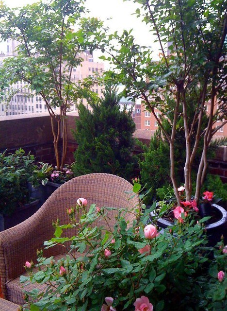 Eclectic-deck