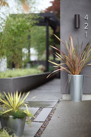 Modernsilverplanters